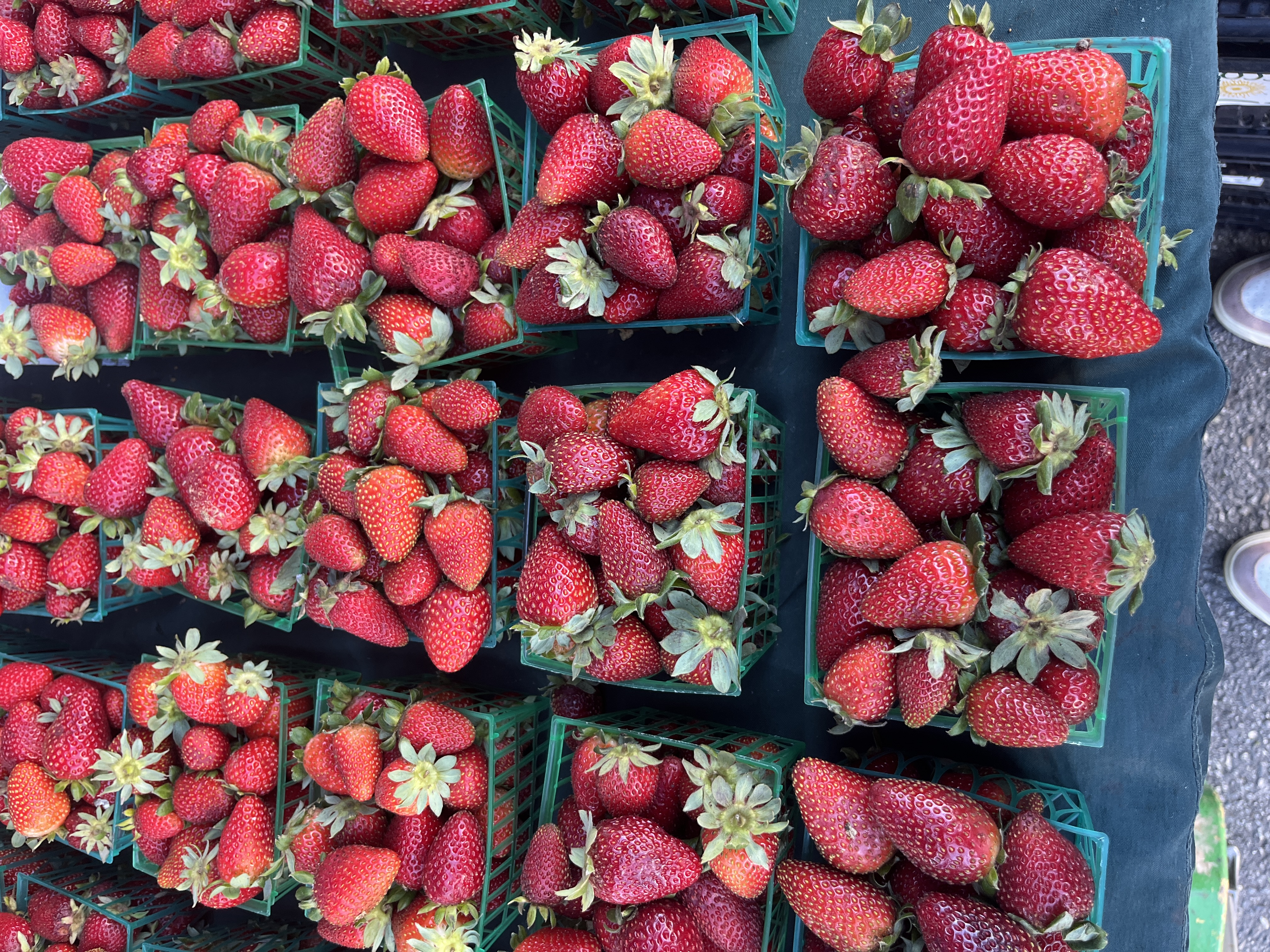 Farmers market berries